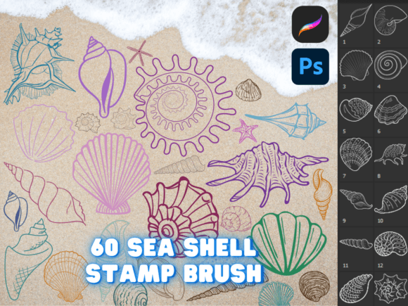 Mastering Seashell Illustrations with Procreate & Photoshop Brushes